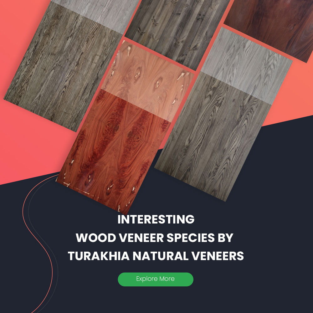 Veneers Veneer Manufacturer & Supplier Natural Veneers