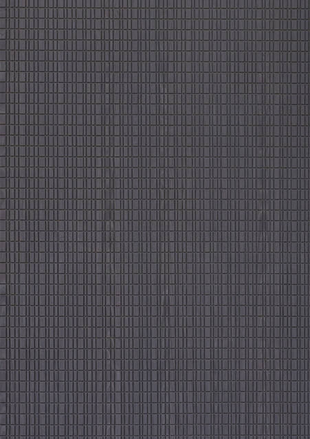  205L
